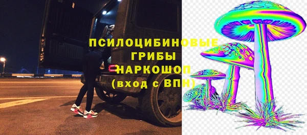 дурь Армянск