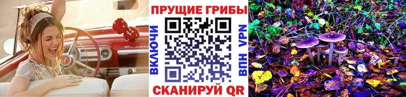 Псилоцибиновые грибы Psilocybe  гидра маркетплейс  Изобильный  как найти закладки 
