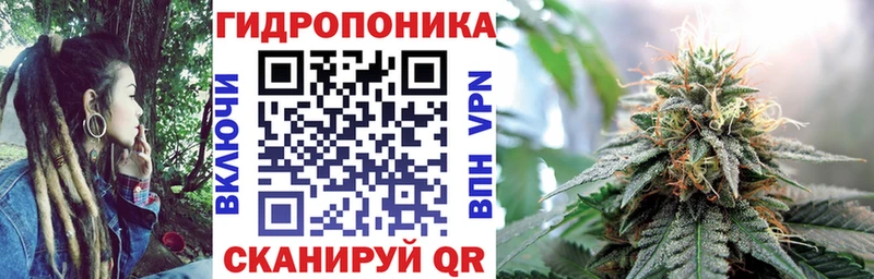 Канабис семена блэк спрут tor Изобильный